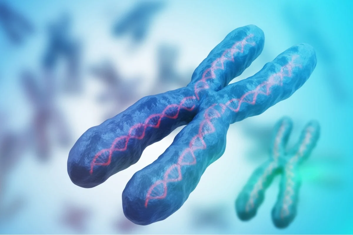 how are chromosomes different in cancer cells?