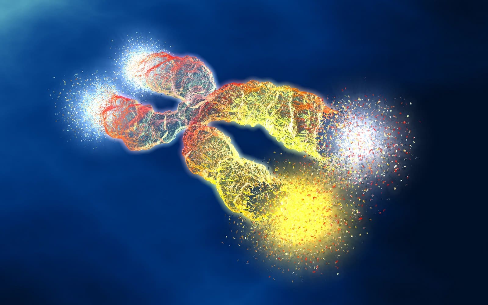 how are chromosomes different in cancer cells?