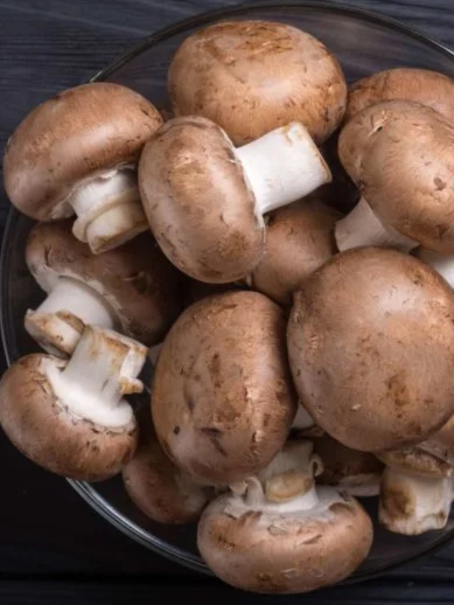 Mushroom Benefits: Eat This Mushroom to Boost Your Brain Power!