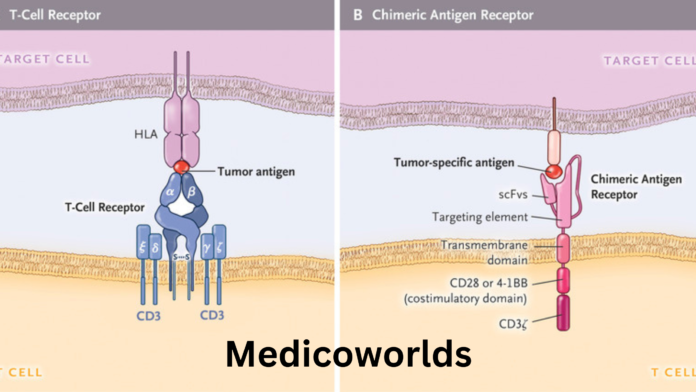 How does Chimeric Antigen Receptor (CAR) therapy work?
