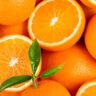 As winter chills settle in, your immune system might need an extra push to combat seasonal infections. Citrus fruits—such as oranges, lemons, limes, grapefruits, and even pineapples—offer a natural shield packed with immune-boosting nutrients. Here’s why incorporating these vibrant fruits into your diet is vital for staying healthy during colder months. Citrus fruits are nutritional powerhouses, loaded with antioxidants and essential vitamins that protect your body from illness. A deficiency in vitamin C, a key component of these fruits, can weaken your immunity, leaving you vulnerable to frequent colds, fatigue, and slower wound healing. Dietician Surabhi Sharma, Clinical Nutritionist at Max Super Specialty Hospital, Gurugram, emphasizes the importance of citrus fruits for maintaining robust health. Why Citrus Fruits Are Crucial for Immunity Sharma outlines seven compelling reasons why these tangy delights should be a staple in your diet: 1. Rich in Vitamin C Citrus fruits are bursting with vitamin C, a potent antioxidant that fortifies your immune system. It enhances the production of white blood cells, your body’s first responders to infection. 2. Abundant in Antioxidants Apart from vitamin C, these fruits contain flavonoids and other antioxidants. These compounds protect immune cells from oxidative stress, ensuring they function optimally. 3. Anti-Inflammatory Powerhouse The natural flavonoids in citrus fruits, combined with their vitamin C content, exhibit anti-inflammatory properties. These help reduce inflammation and enhance your immune response to infections. 4. Boosts Collagen Production Vitamin C is indispensable for collagen synthesis, which aids wound healing and reinforces your skin and mucous membranes—the body’s frontline defense against harmful pathogens. 5. Supports Gut Health Citrus fruits are rich in dietary fiber, which fosters a healthy gut microbiome. Since the gut is integral to immune function, maintaining its health directly bolsters your immunity. 6. Keeps You Hydrated With their high water content, citrus fruits help maintain optimal hydration levels. Proper hydration is essential for flushing out toxins and ensuring your immune system operates at its best. 7. Natural Detoxification Citric acid in these fruits activates liver enzymes that aid in detoxification. This process helps clear out harmful substances, providing an additional layer of immune support. A Simple Yet Delicious Solution Adding citrus fruits to your daily diet is an effortless way to enhance your immunity and overall health. Whether enjoyed as fresh juice, a snack, or part of a meal, these fruits deliver a flavorful boost to your well-being. Stay ahead of winter ailments—make citrus fruits your go-to defense for a healthier, happier season.